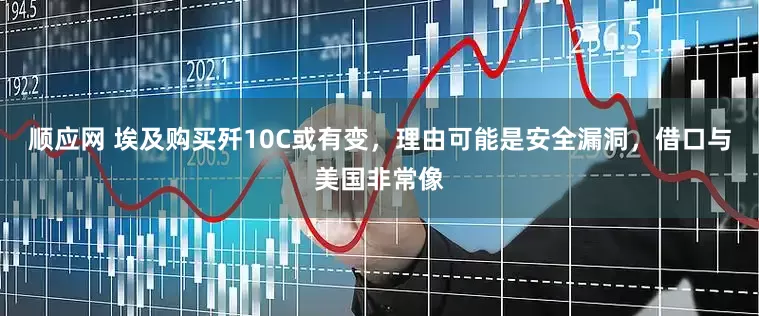 顺应网 埃及购买歼10C或有变，理由可能是安全漏洞，借口与美国非常像