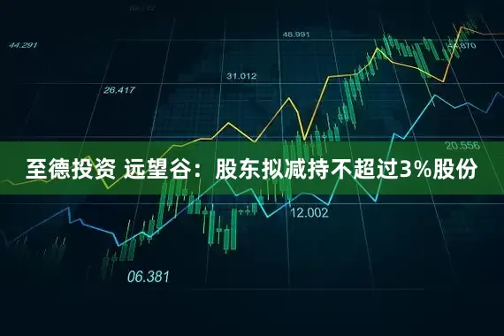 至德投资 远望谷：股东拟减持不超过3%股份