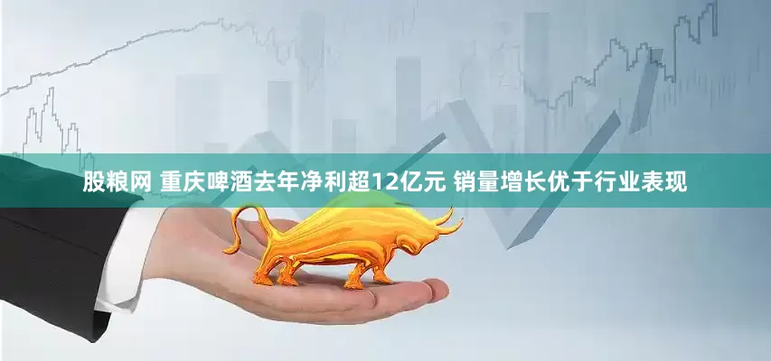 股粮网 重庆啤酒去年净利超12亿元 销量增长优于行业表现